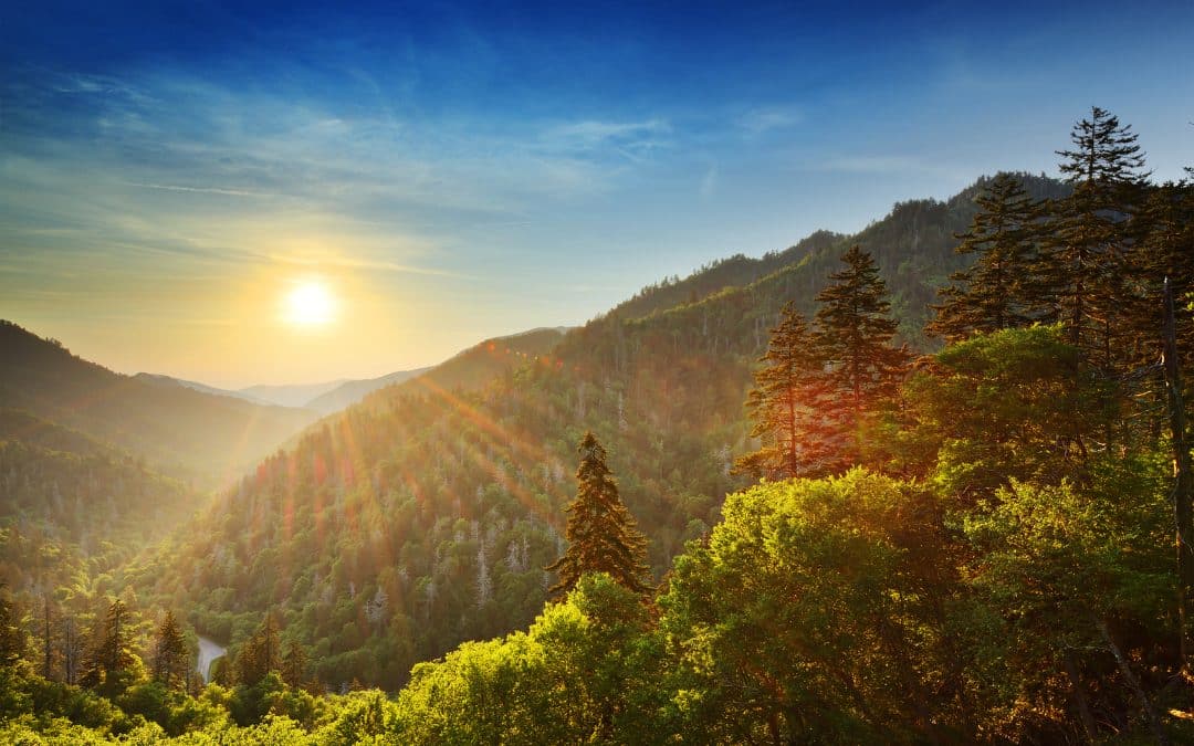 Merritt World Vacations Reviews Why People Love Visiting Tennessee 3
